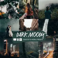 Preset Lightroom Dark Moody dengan tone gelap dan cinematic.